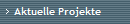 Aktuelle Projekte